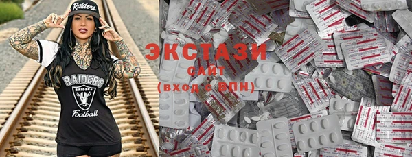 стаф Медногорск