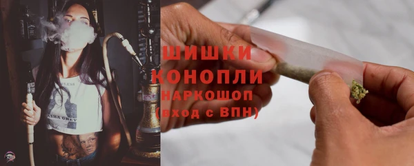 стаф Медногорск