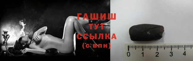 стаф Медногорск