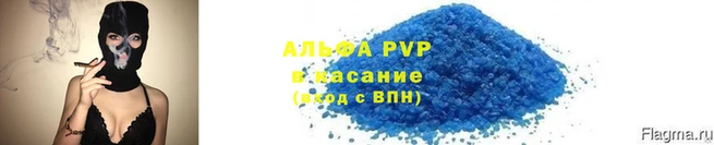 стаф Медногорск