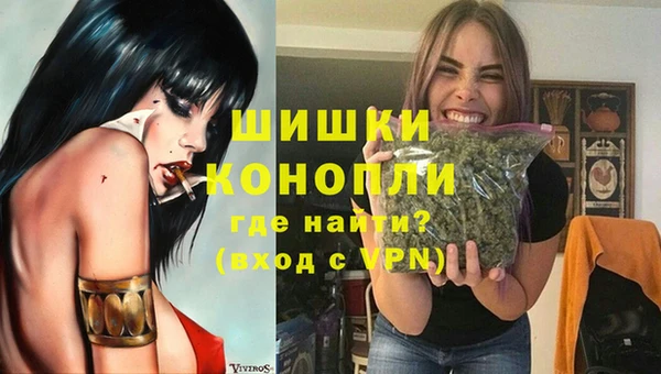 стаф Медногорск