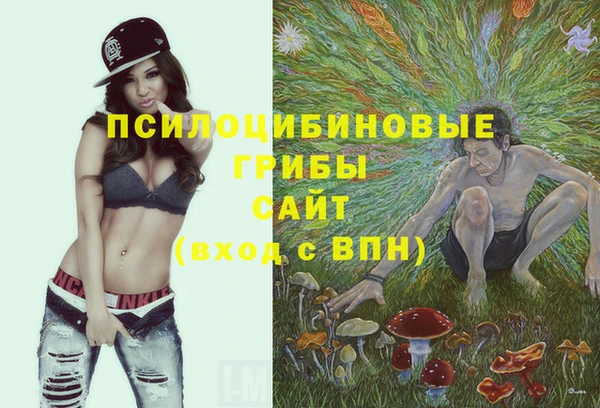 сатива Артём