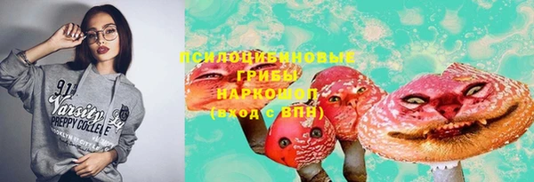 винт Мегион