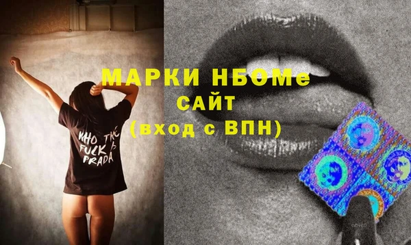 стаф Медногорск
