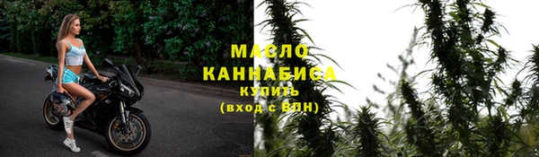 стаф Медногорск