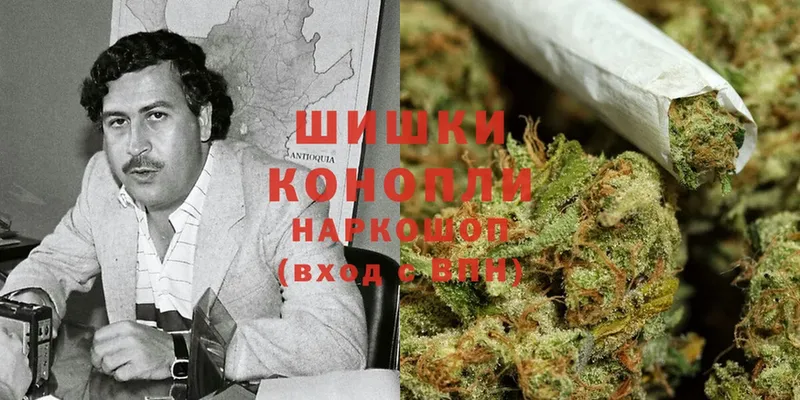 купить наркотики цена  Александровск-Сахалинский  Бошки марихуана THC 21% 